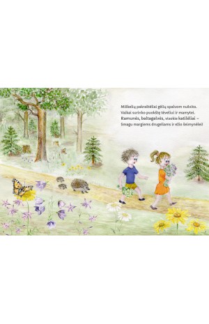 Mikas ir Marė renka gėles. Knygelių vaikams serija „Į gamtą!”